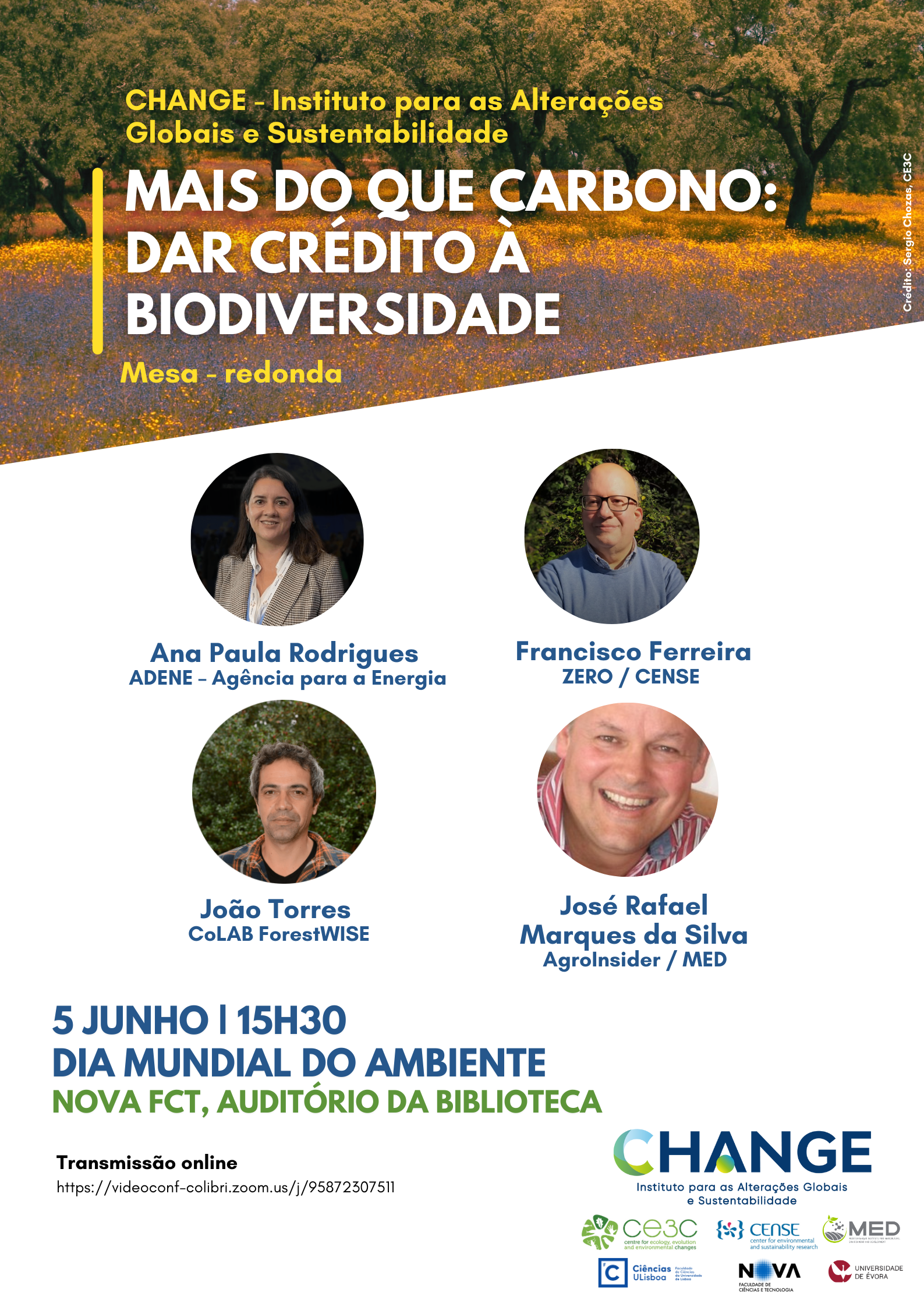 Mesa Redonda