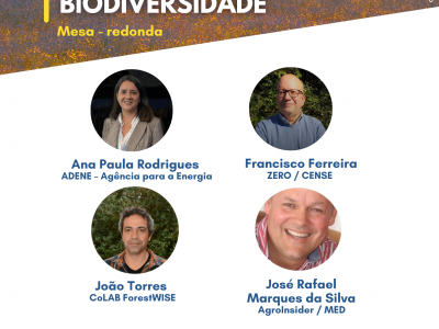 Mesa Redonda
